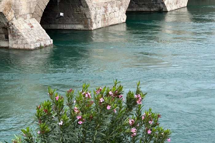 ADANA'dan Enfes Kareler