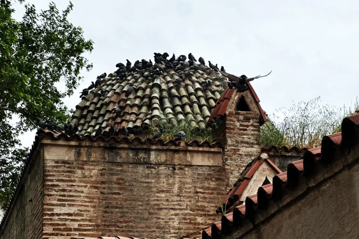ADANA'dan Enfes Kareler