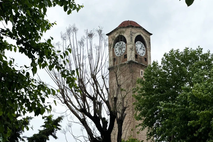 ADANA'dan Enfes Kareler