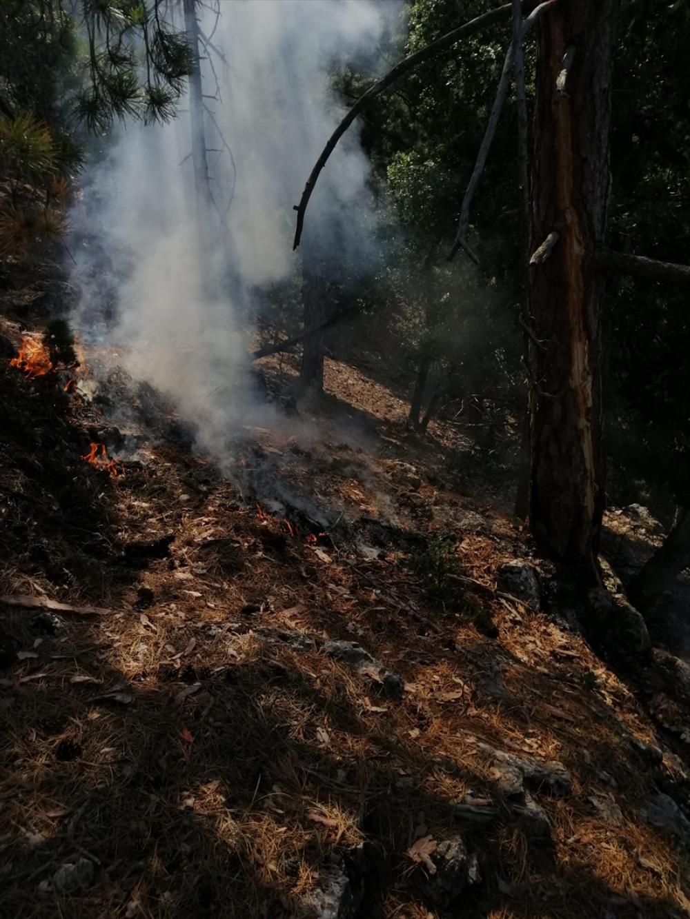 Adana Feke'de iki noktada çıkan orman yangınları kontrol altına alındı