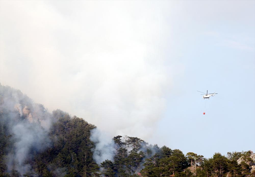 GÜNCELLEME - Alanya'da çıkan orman yangınına müdahale devam ediyor