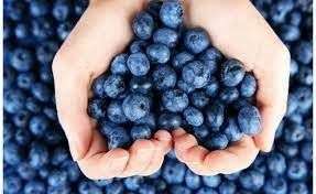 Yaban mersini göz altı morluklarını yok ediyor