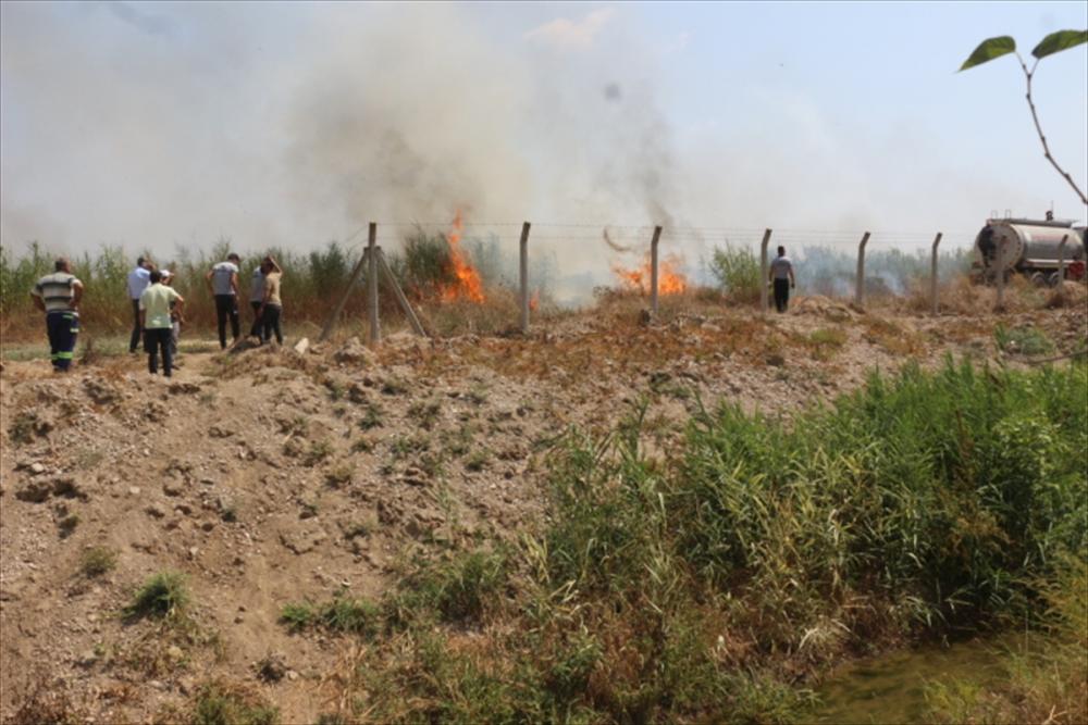 Adana'da çalılık alanda başlayıp zeytin bahçesine sıçrayan yangın söndürüldü