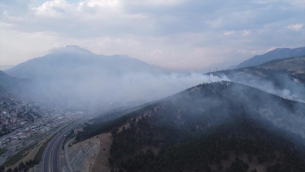Adana'nın Pozantı ilçesinde çıkan orman yangını söndürüldü
