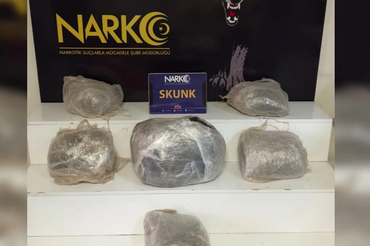 Adana'da 9 kilo 250 gram skunk ele ge&ccedil;irildi: 2 ş&uuml;pheli tutuklandı