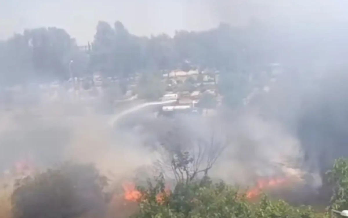 Adana'da ağaçlık alanda yangın 