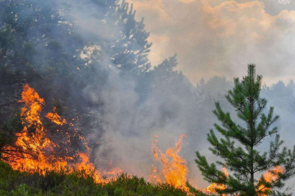 Adana'da çıkan orman yangını söndürüldü 