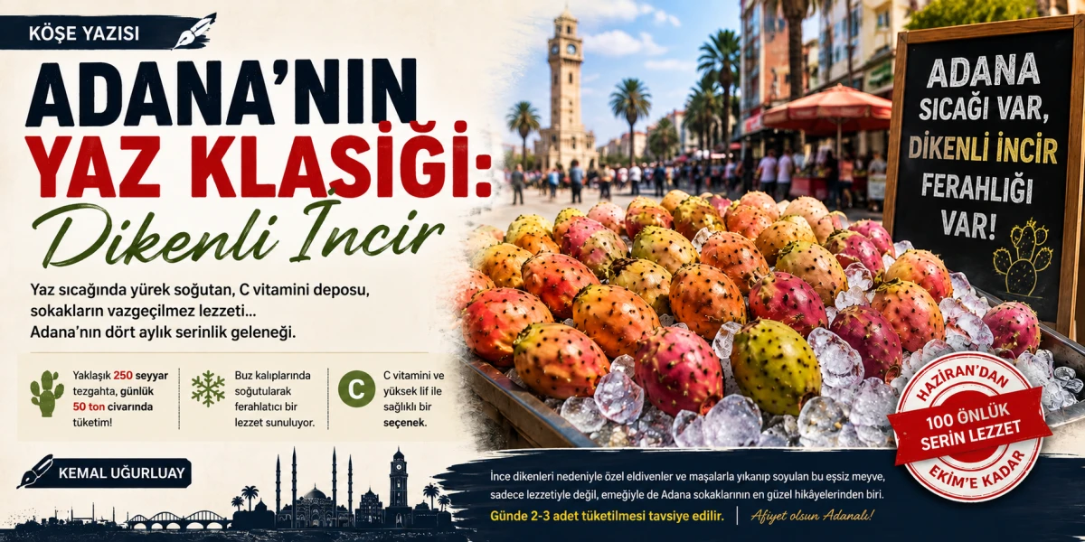 Adana'nın Yaz Klasiği: Dikenli İncir Sezonu Başladı