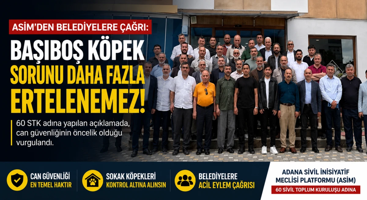 ASİM&rsquo;den Belediyelere &Ccedil;ağrı: &ldquo;Başıboş K&ouml;pek Sorunu Daha Fazla Ertelenemez&rdquo;