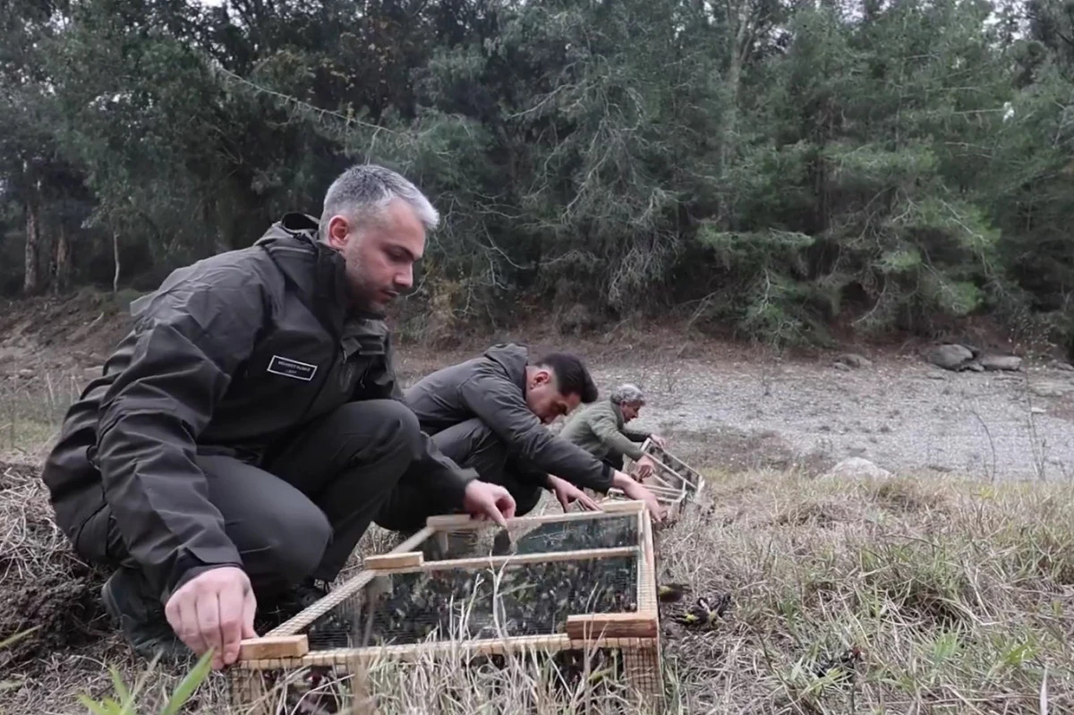 Ele ge&ccedil;irilen 400 saka kuşu doğal yaşamına bırakıldı