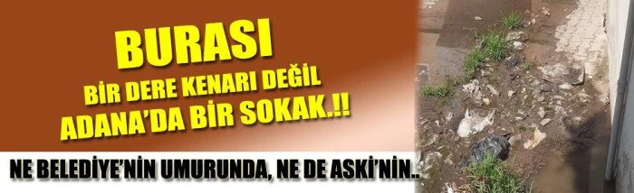 HALK SORUYOR: MİZAÇELEBİ MAHALLESİ CEZALI MI?
